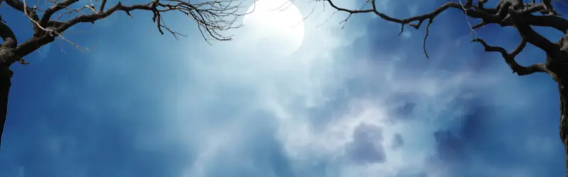 ҹ���λñ���-������