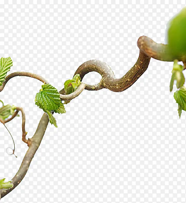 ����-������