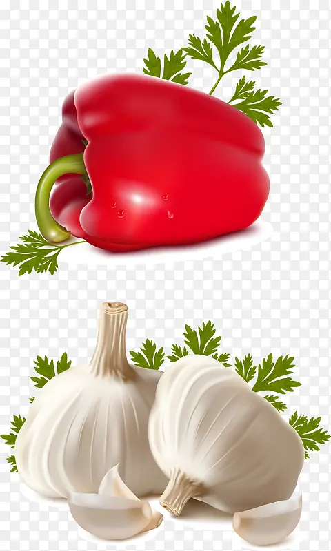 ʸ���ֻ��߲�-������