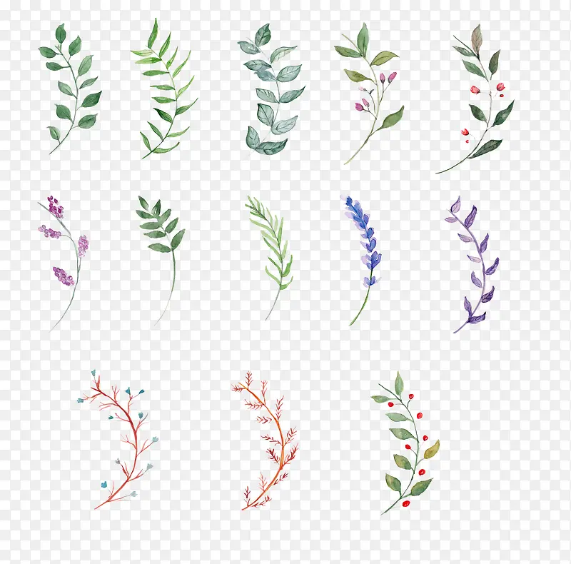 �ֻ�Ҷ��-������