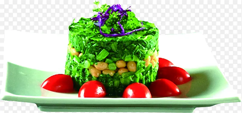 ����Ӫ��ʳ���������-������