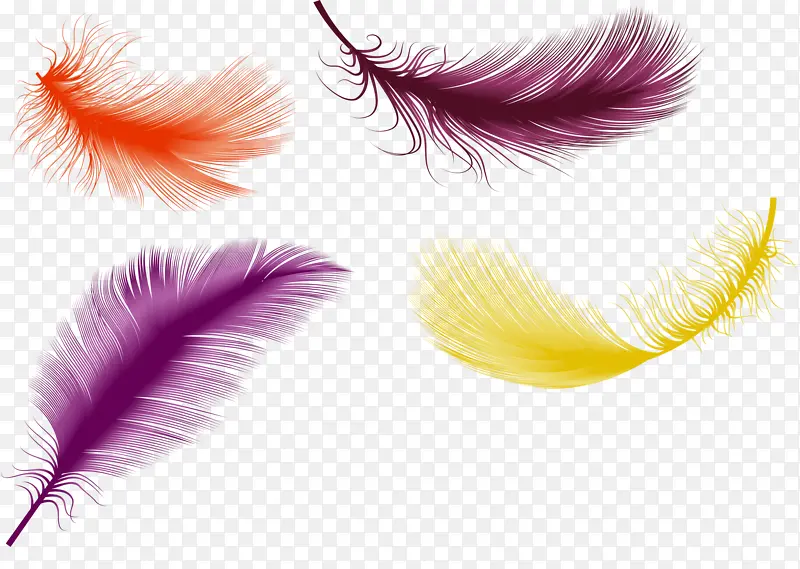 ��ɫ����ë-������