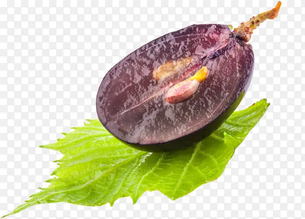 ����ˮ��Ӫ������-������