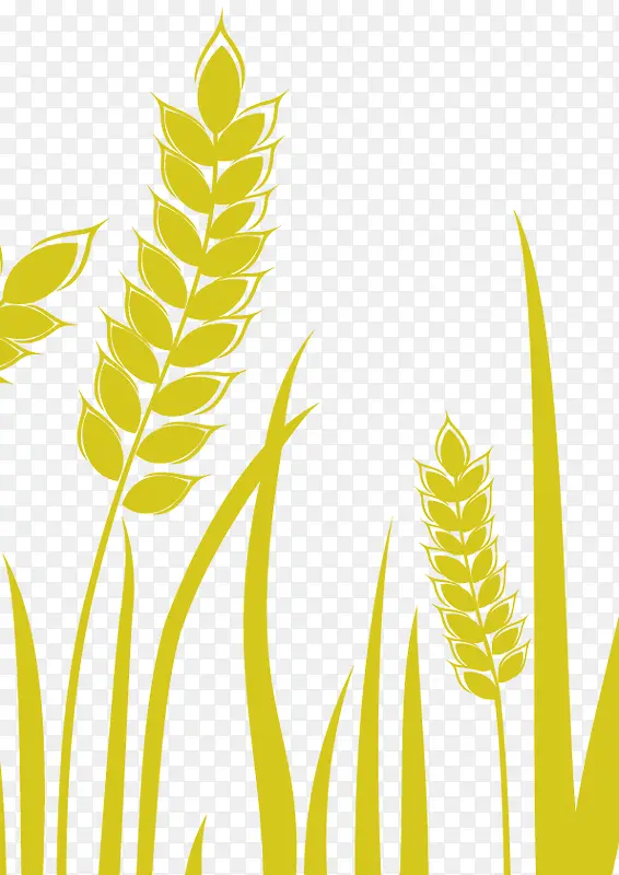 ����ɳ������ǽ���-������