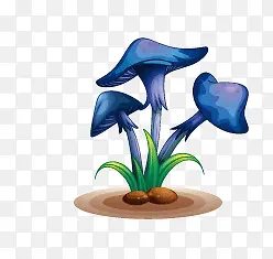 ��ͨ-������