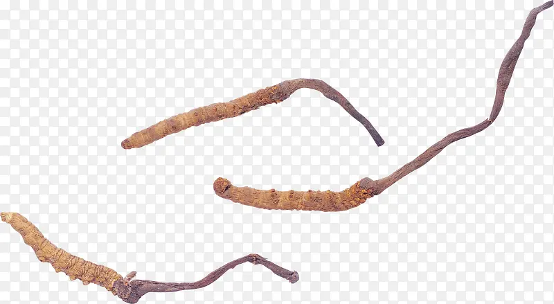 ʵ����-������