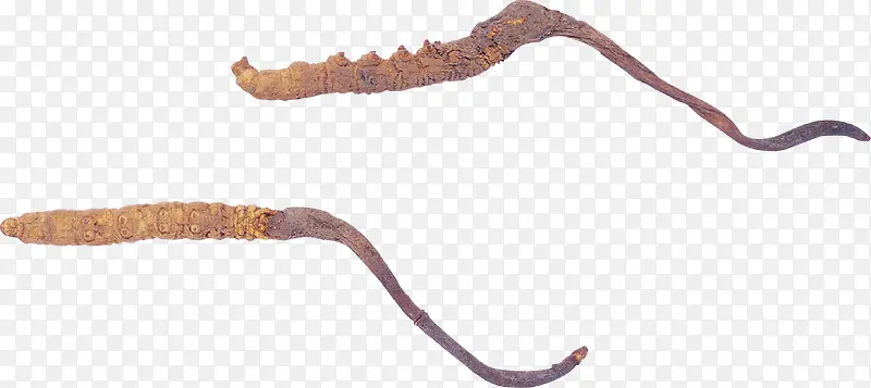 ʵ����-������