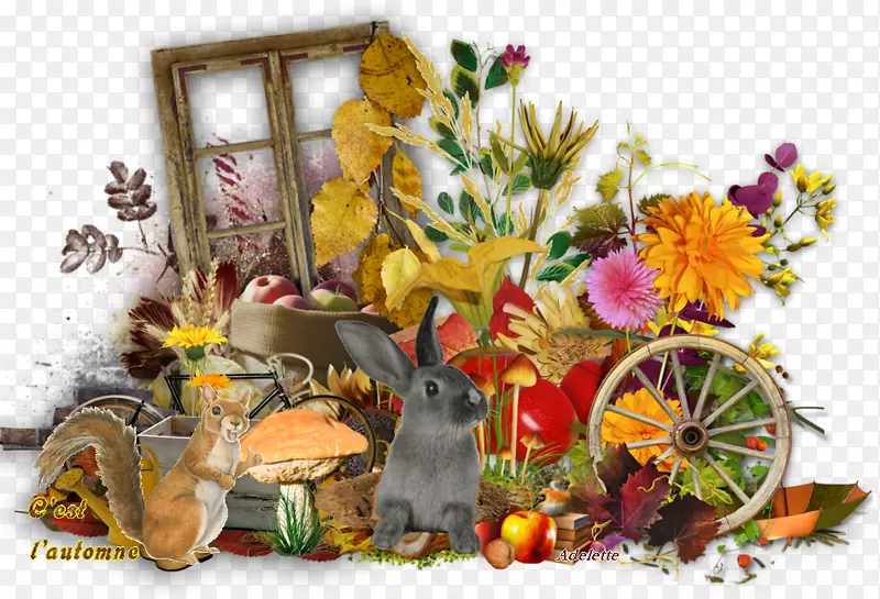 �＾��Ӱ����-����-������