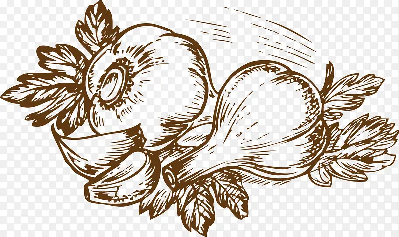 �ֻ�ʳ����-������