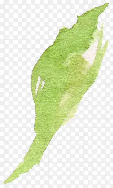 ˮ��ī����ɫ-������