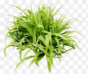 ���̵�С��-������