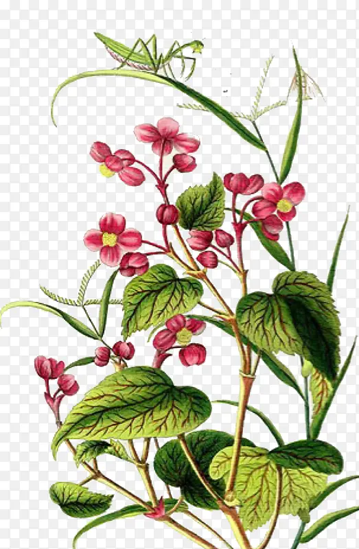 �ֻ������ʻ�ͼ-������