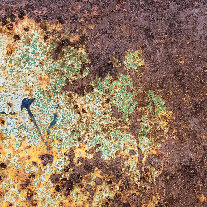 ���ⱳ������-������