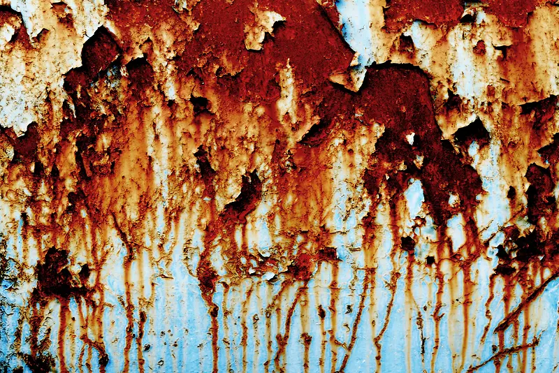 ��������屳��-������