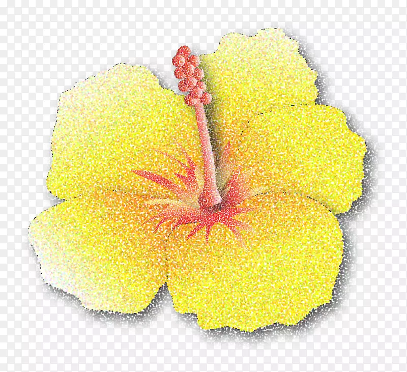 ľ�ȿ���ֲ�ﻨ��ܽ��-������