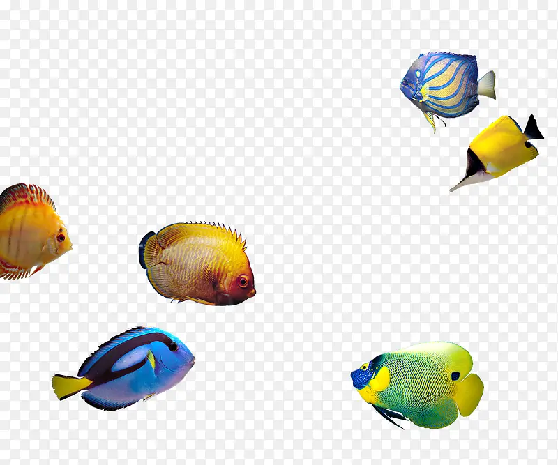 �����Ⱥ-������