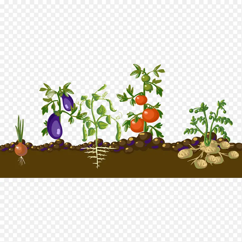 �߲�-������