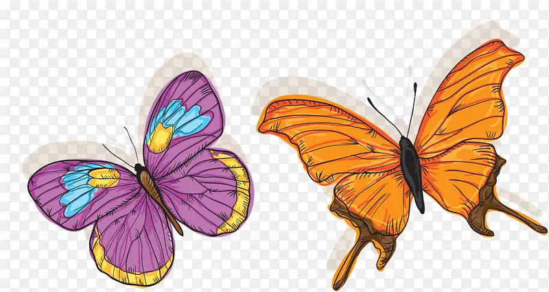 ��ͨ����-������