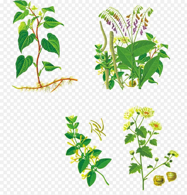 ��ֲ�߿�-������