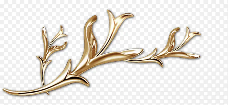 ����������֦-������