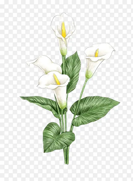 �ֻ�ٺϻ�-������