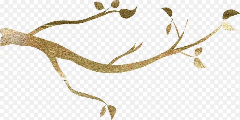 ��֦-������