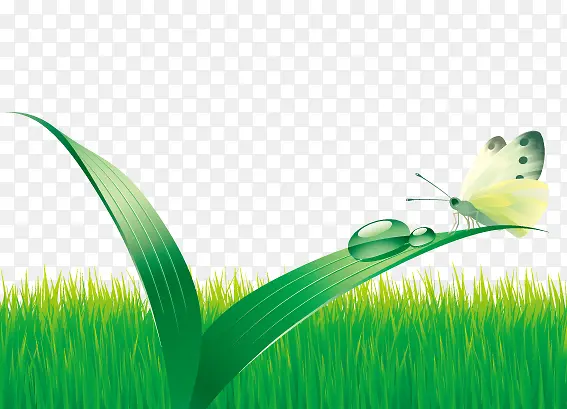 �̲���Ȼ�����ֻ�ͼ-������