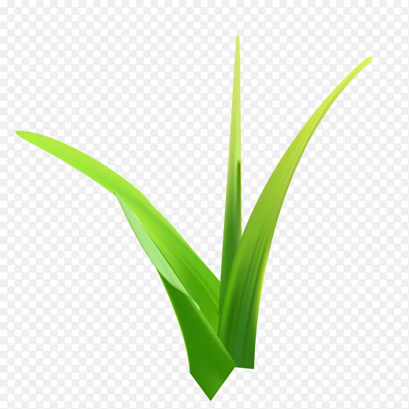 С�ݵ�ϸ΢ͼ-������