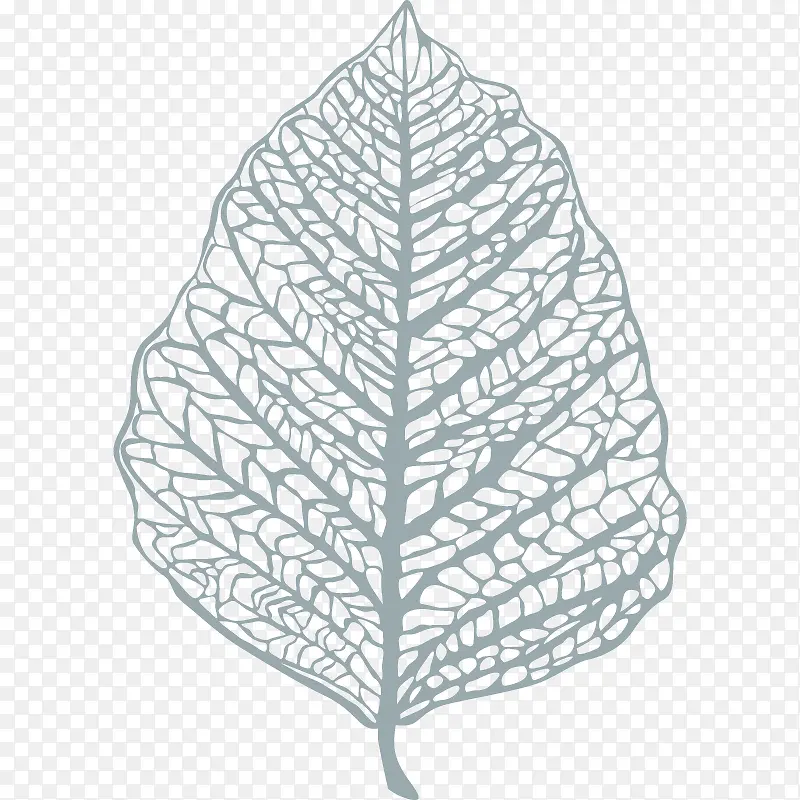 ҶƬҶ���廭-������