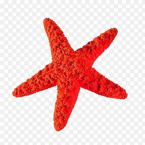 ���⺣��-������