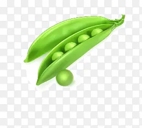 �ļ���-������