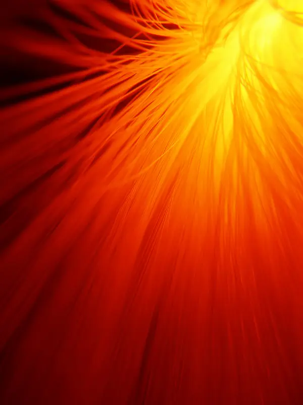 �λ���ά��������-������