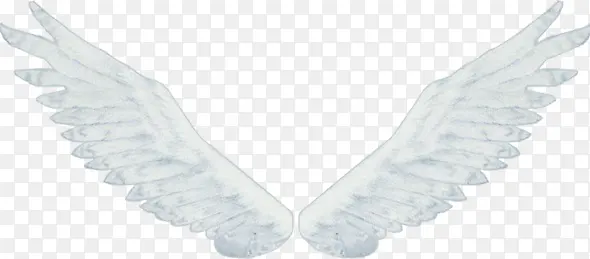 ��ɫ���-������