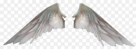 ���-������