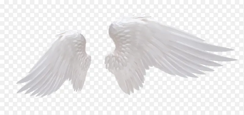 ���-������