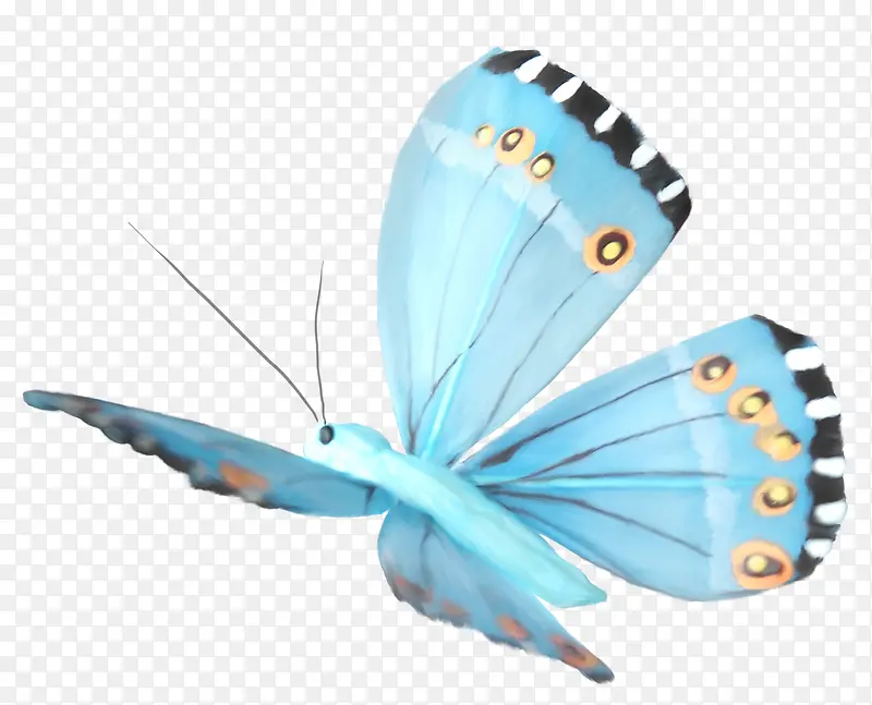 ����ǳ��ɫ������-������