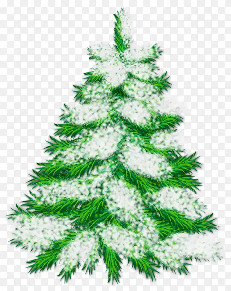 ʥ����ѩ��-������