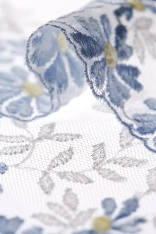 ��˿���Ʊ���-������