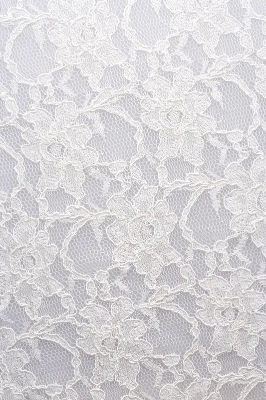 ��˿���߱���-������