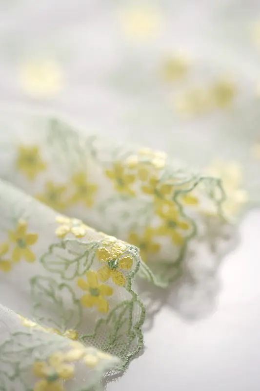 ��˿���߱���-������