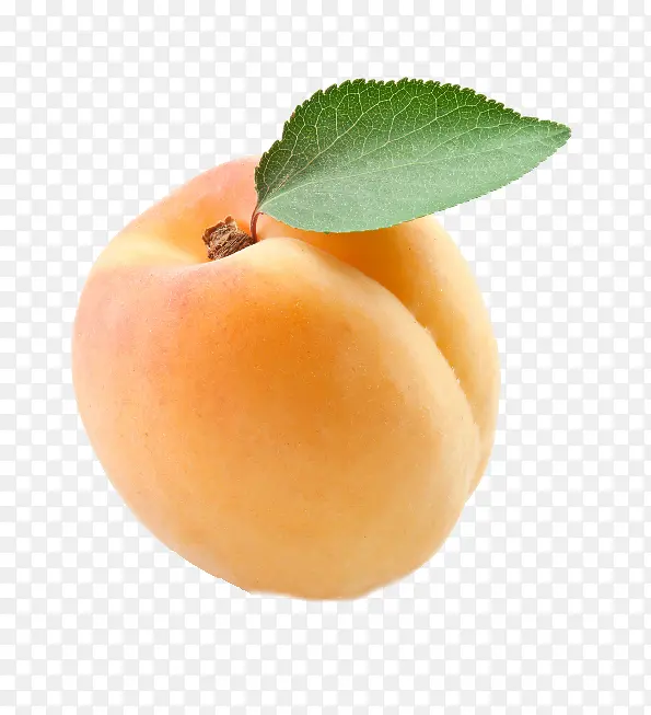 ��ˮ��-������