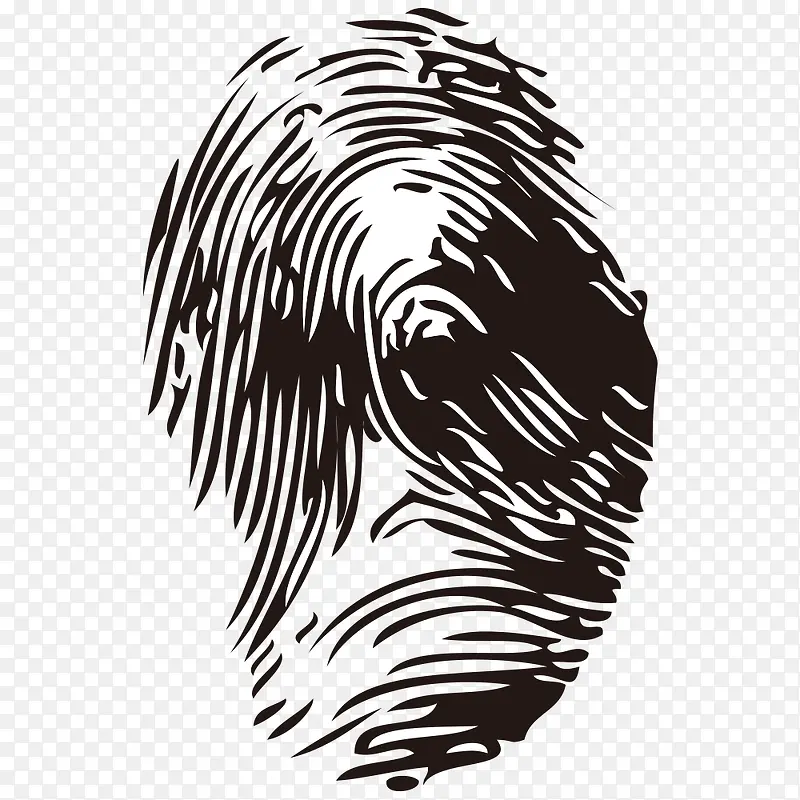 ָ��-������