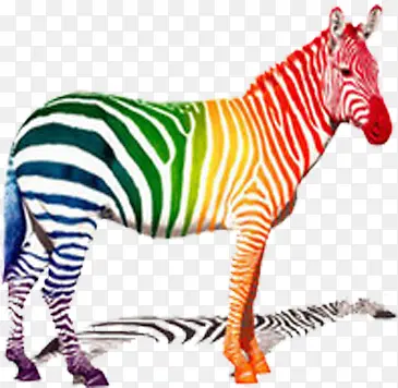 �ʻ��ɫ����-������