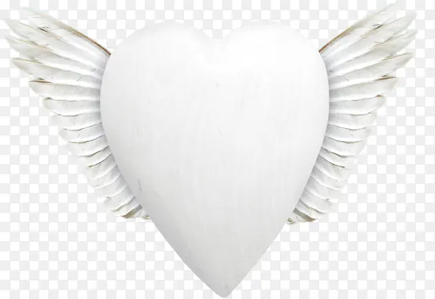 ��ɫ���ĳ��-������