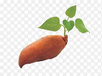 �ֻ�ʳ��ʳ��ͼƬ ����-������