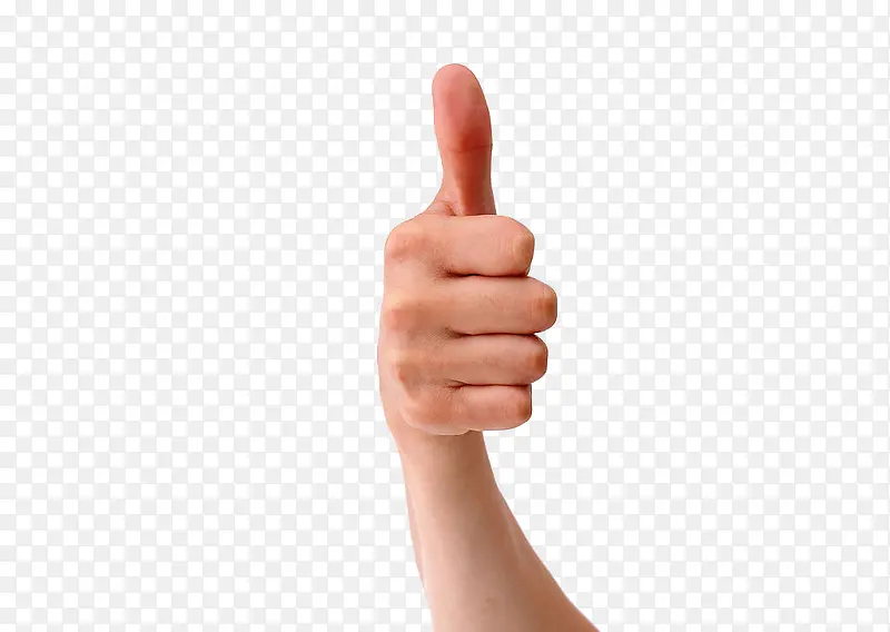 �����ֵ����-������