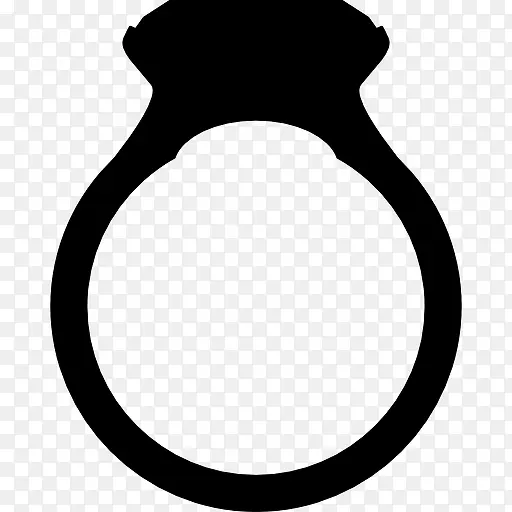 ��ʯ��ָ������ͼ��-������