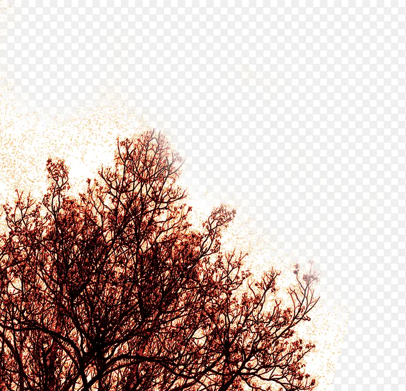 ���Ż����������-������