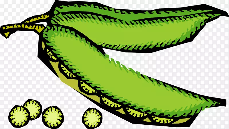 ʳƷ������-�߲�-������