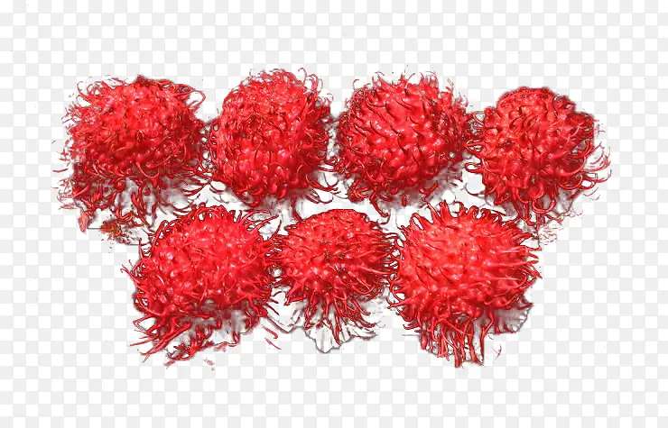 ��ë��-������